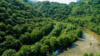 Zemljišče Gašparci, Delnice, 60.000m2