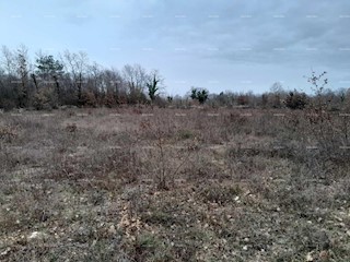 BUZET, 7.000 m2, zemljišče, građevinsko, prodaja.