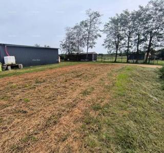 Prodaja - gradbeno zemljišče z idejnim projektom v bližini Karigadora, Brtonigla!