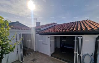 The translation of the title