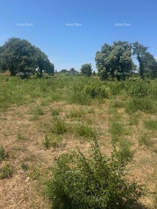 Zemljišče 4000 m² v Ližnjanu, T2 območje