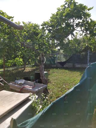 Na prodaj je hiša s kletjo, veliko teraso, dvema trisobnima stanoma in dvoriščem. Odlična priložnost za naložbo!