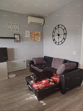 PEROJ – STANOVANJE NA 1. NADSTROPJU