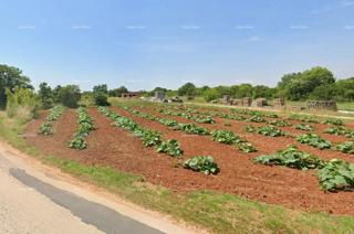 Prodaja - gradbeno zemljišče, Loborika!