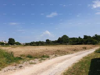 Prostrana gradbena parcela velikosti 1700 m² v Šišanu - idealna priložnost za vaš dom ali naložbo