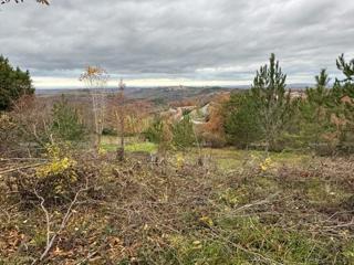 BUJE – GRADBENIŠKO ZEMLJIŠČE 990 m²