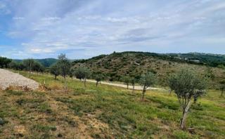 Momjan – prodaja gradbenega zemljišča na odlični lokaciji.