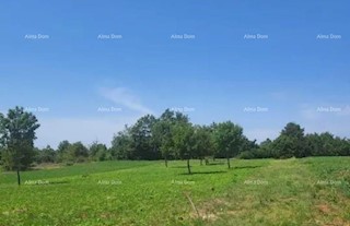 Istra, Žminj, Laginji. Zazidljivo zemljišče. 2370 m2.