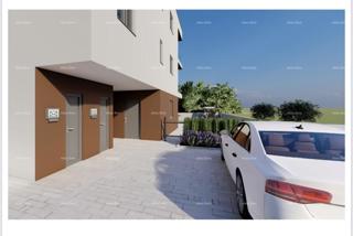 The translation of the title