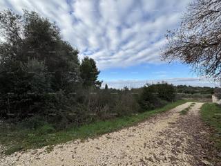 Premantura, gradbena parcela 1.600 m²