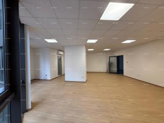 The translated title in Slovenian is: