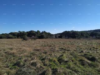 GRAĐEVINSKO ZEMLJIŠTE, 1164 m2 – VOLME