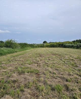 Odlična priložnost - prodaja gradbenega zemljišča v atraktivni soseski blizu centra in morja, Umag!