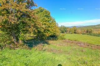Prodaja - gradbeno zemljišče za gradnjo družinske hiše, Karojba!