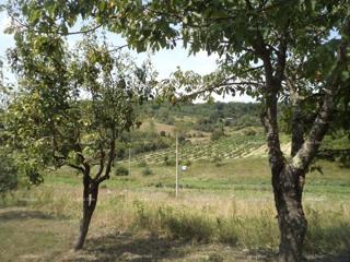 Gradbeno zemljišče Poreč