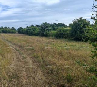 Građevinsko zemljište površine 1.600 m² v bližini Svetvinčenta