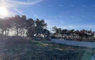 Jurcanija, Buje. Gradbene parcele s panoramskim pogledom