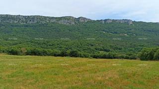 Građevinsko zemljište 1.650 m² – Buzet, Istra