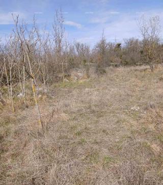 PRODAJA GRAĐEVINSKEGA ZEMLJIŠČA, 6.230 m² – PLOVANIJA (BUJE)