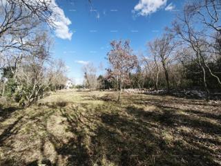 Buje – gradbena parcela 1.086 m² s pogledom na morje