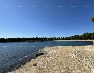 Stanovanje Novigrad