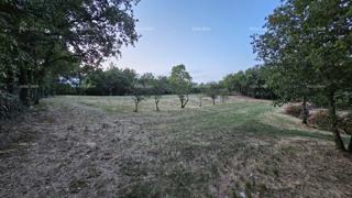 Građevinsko zemljišče v Tinjanu (Istra), 3.623 m²