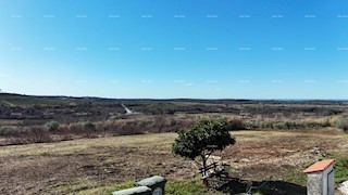 Prodaja gradbenih parcel za gradnjo stanovanjskih objektov, Buje!