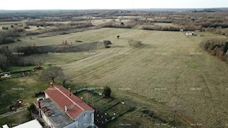 Prodamo zemljišče, površine 32900 m2, v okolici Barbana