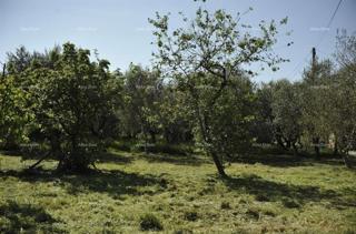 Građevinsko in kmetijsko zemljišče – Loborika