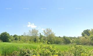 TINJAN – Gradbena parcela 898 m² z gradbenim dovoljenjem in plačanimi prispevki!