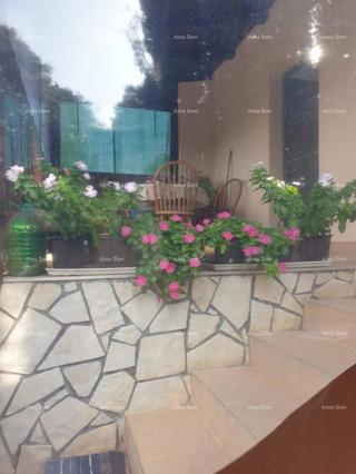 Hiša s teraso – Kavran.