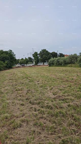 Prodaja - gradbeno zemljišče površine 500 m2, Umag!