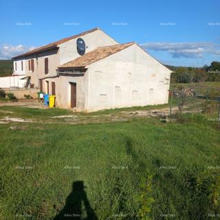 Odlična priložnost - posest s kamnito hišo, velikim zemljiščem in pomožnimi objekti - blizu Rovinja!