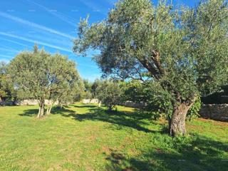 The translated title in Slovenian is: "KMETIJSKA zemlja v bližini morja, Peroj-prodaja!"