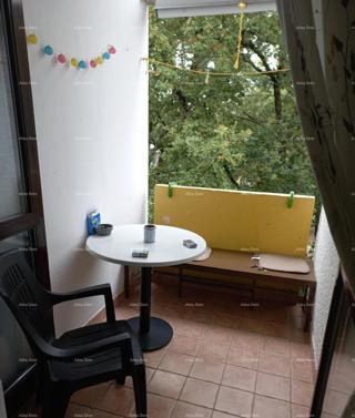 Apartma 32 m2 , Mareda