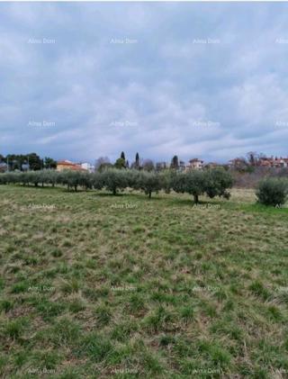 Prodaja - gradbeno zemljišče na lepi lokaciji, Umag!