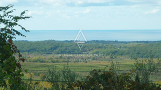 Istra, Buje: Privlačno zazidljivo zemljišče s pogledom