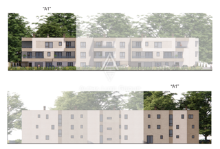 Istra, Pula: Pritlično stanovanje z vrtom