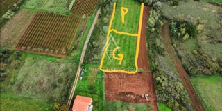 Istra, Višnjan: Gradbena parcela v mirni istrski vasici na prodaj