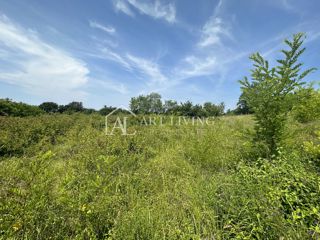 Brtonigla, okolica – kmetijsko zemljišče v izmeri 2.200 m² na mirni lokaciji