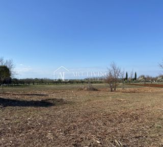 Brtonigla, okolica – prostorno kmetijsko zemljišče, 3.000 m²