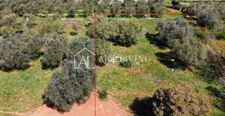 Buje - Kaštel - gradbeno zemljišče 1250 m2, PRILOŽNOST