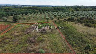 Umag, okolica – Atraktivno kmetijsko zemljišče, 2.600 m² na odlični lokaciji