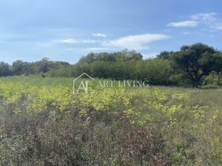 Umag, okolica - kmetijsko zemljišče na mirni lokaciji, 3700 m2