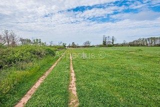 Zazidljivo zemljišče + kmetijsko zemljišče, Loborika, Istra