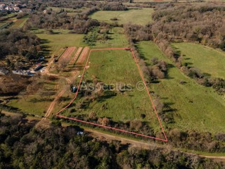 Zemljište pravilnog oblika za voćnjak, maslinik ili vinograd, Valtura | Pula