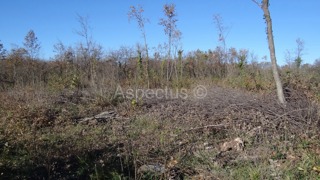 Vodnjan-Divšići poljoprivredno zemljište 50 000m2