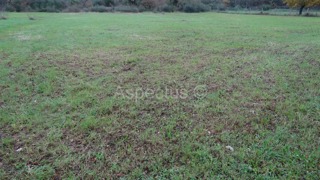 Višestambeno građevinsko zemljište 3900m2, Rovinj