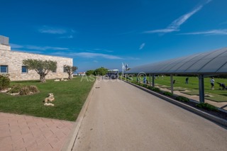 Apartman s pogledom na more, Umag