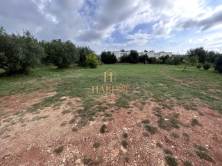 Istra, Zambratija, gradbeno zemljišče 680m2, plačane komunale, projekt